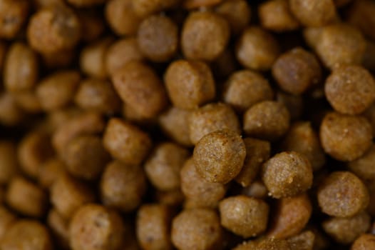 Golden brown pet food pellets fill the frame, showcasing their texture and color in a warm kitchen atmosphere.