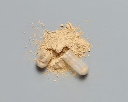 Opened medical capsule to show beige powder on grey top view. Preventive medicine and healthcare, taking alternative dietary supplements and vitamins