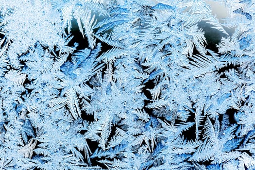 Frost on a window in winter, blue toned