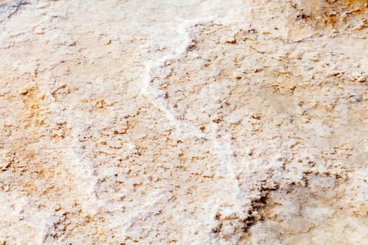 Crystallized salt on the earth, texture