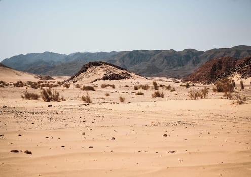 top view of the canyon in the desert in Egypt Dahab Sinai