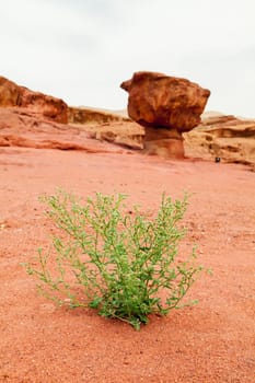 View of barren land of Timna Valley, Israel