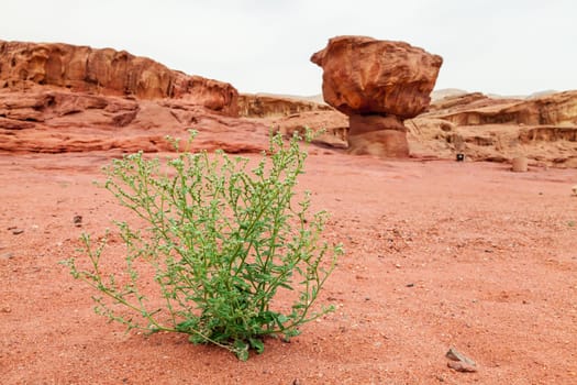 View of barren land of Timna Valley, Israel