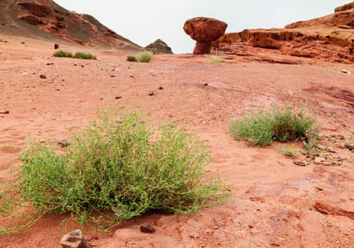 View of barren land of Timna Valley, Israel