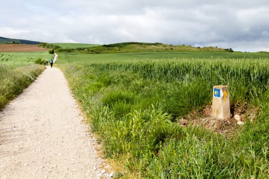 A serene path leads through vibrant greenery in the French Pyrenees, inviting pilgrims to explore the Camino de Santiago.
