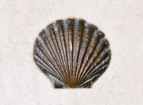 A bronze shell sculpture sits on a square paved surface, showcasing intricate details under sunlight.