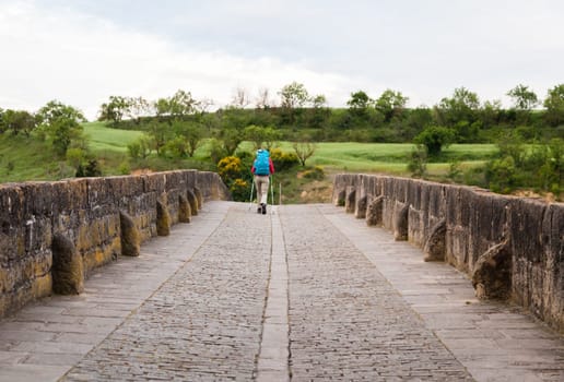 A person strolls on an ancient stone bridge in Obanos, Spain, enjoying the lush greenery and serenity of the landscape.