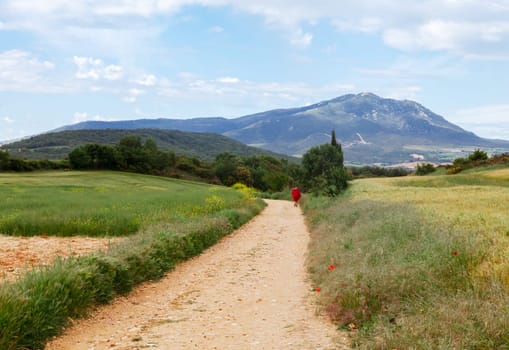 A lone figure strolls along a dirt path surrounded by lush greenery, with a mountain backdrop under a clear sky.