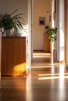 Sunlight spills across a wooden floor in a cozy hallway, illuminating plants and furniture, creating a warm and inviting atmosphere.