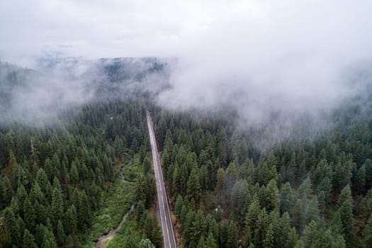 A road with trees in the background and a foggy sky. The road is empty and the trees are tall
