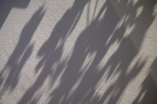 Intricate shadows stretch across a textured wall, creating a captivating play of light and form at sunset.