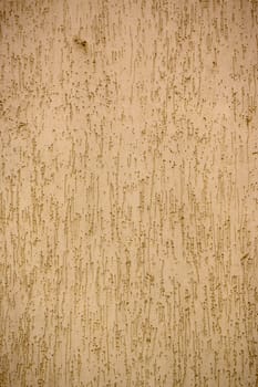 Aged plaster wall displays textured patterns and unique lines illuminated by warm golden hour sunlight.