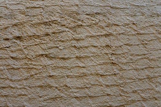 Warm sunlight illuminates the rough texture of an aged wall, showcasing its intricate patterns and earthy tones.