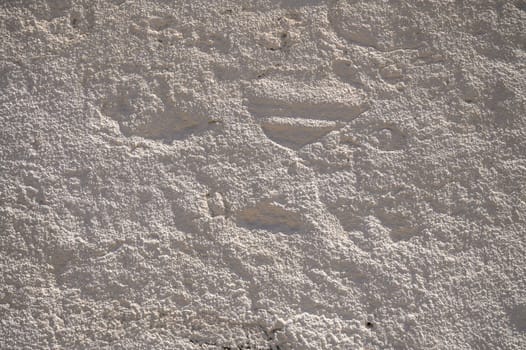 The surface displays unique textures and subtle patterns created by time and weather, bathed in warm sunlight.