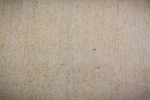 A close-up shows a textured wall in soft colors, inviting appreciation for nature's artistry.