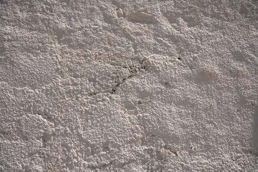 Natural sunlight highlights the unique texture of a white wall, showcasing patterns that evoke a tranquil atmosphere.