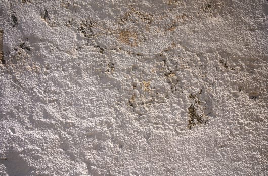Intricate patterns emerge from an aged wall, showcasing a fascinating blend of textures and subtle color variations.