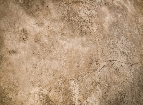 Cracked and weathered ground displays intricate patterns, showcasing the beauty of natural textures and earthy tones.