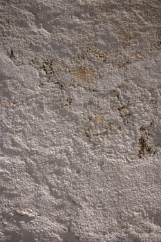 Intricate patterns emerge from a weathered stone wall, capturing the essence of time and natural beauty.