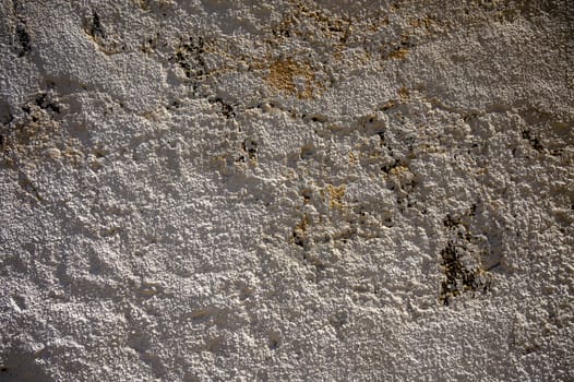 Nature's artistry shines in the textured wall, showcasing intricate patterns and delicate hues at dusk.