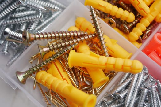 Various screws and anchors are neatly sorted in a transparent container.