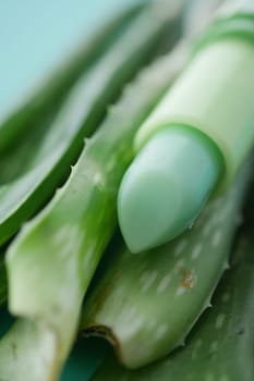 A natural aloe vera gel stick is placed on aloe plant leaves.