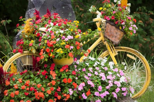Floral display with a yellow bicycle.