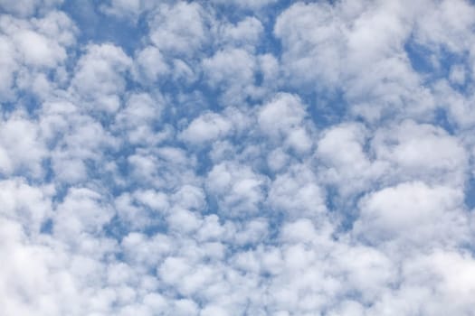 Sky with fluffy ( altocumulus / mackerel skies ) clouds.