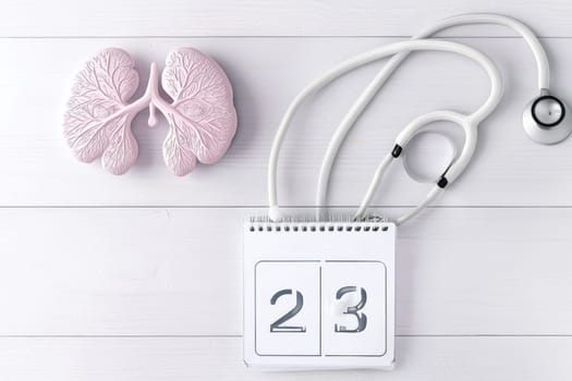 An innovative health concept showcasing a detailed lungs model and stethoscope on a clean white table