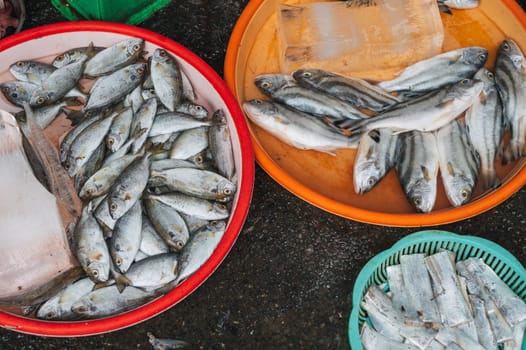 fresh fish at the Asian street market in Asia in Vietnam