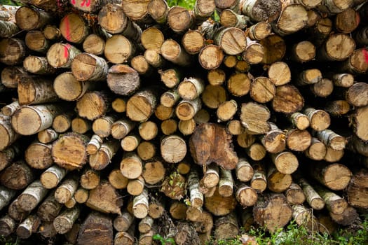 A beautifully arranged display of neatly stacked logs that highlights their natural textures and vibrant colors