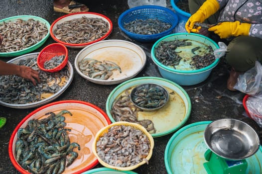 fresh prawns and raw shrimp at the Asian Sea food Street Market in Asia