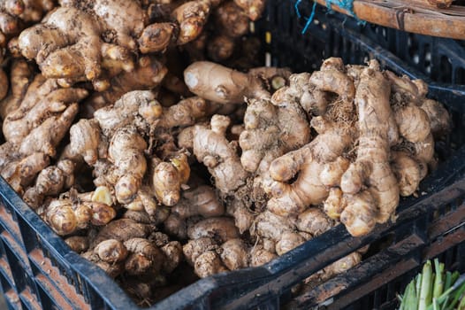 fresh ginger tubers on the counter at a street market in Asia