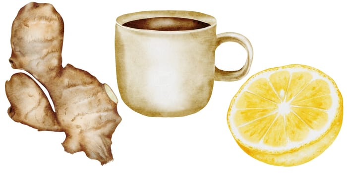 Set of tea mug, lemon and ginger.Watercolor hand drawn beige mug with hot drink on isolated white background. Ideal for logo and packaging of medicinal tea. Homeopathic composition. High quality illustration