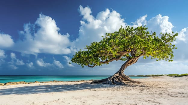 Long sandy beach with palm trees by the sea sunny clear day. Ai art