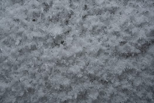 Background of white frozen snowflakes on covered land in cold winter day