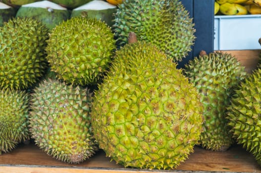 Harvest of ripe durian king fruits on counter at an Asian street market in Thailand close-up