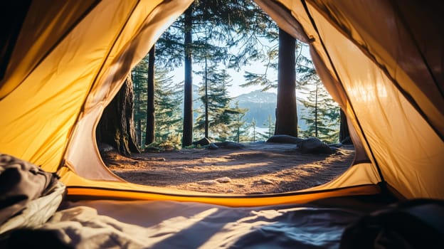 Travel, adventure, camping, relaxed view from empty tent to mountain forest with pine trees on sunny day for background