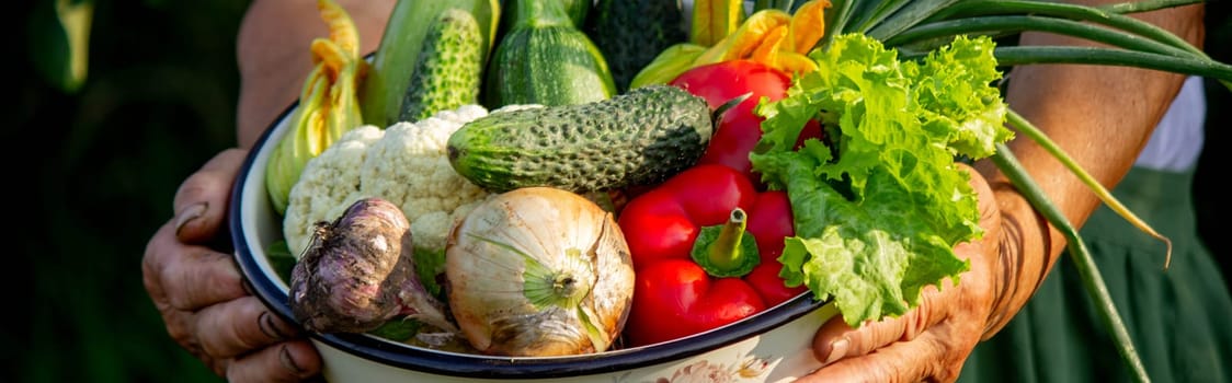 Elderly woman holding a bowl of vegetables on a garden background. Selective focus.