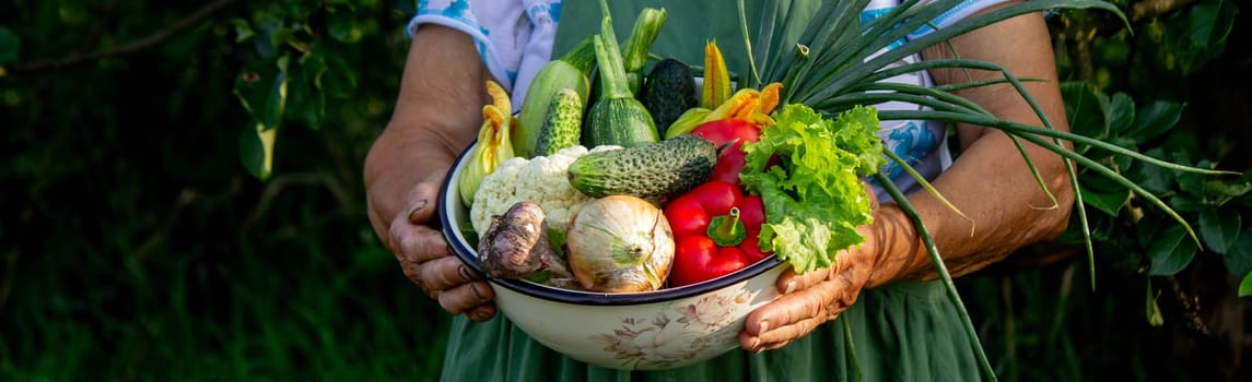 Elderly woman holding a bowl of vegetables on a garden background. Selective focus.