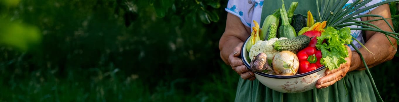 Elderly woman holding a bowl of vegetables on a garden background. Selective focus.
