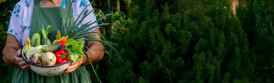 Elderly woman holding a bowl of vegetables on a garden background. Selective focus.
