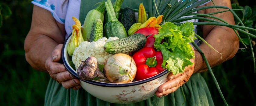 Elderly woman holding a bowl of vegetables on a garden background. Selective focus.