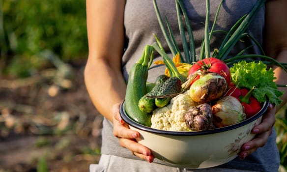 Elderly woman holding a bowl of vegetables on a garden background. Selective focus.