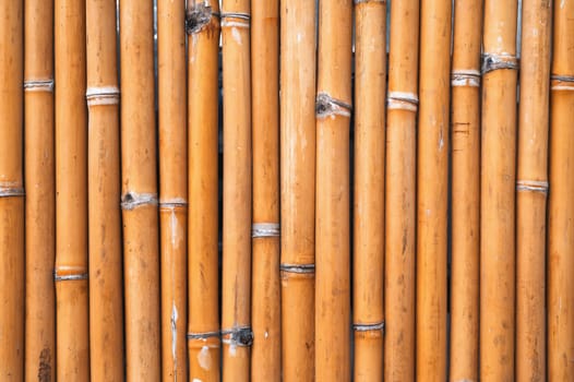 natural background with a texture pattern of bamboo with a copy space