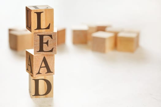 Four wooden cubes arranged in stack with letters LEAD (meaning learning, education, action, development) on them, space for text / image at down right corner