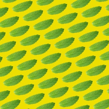 Seamless pattern of green mint leaves on a yellow background