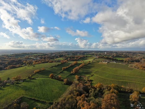 France, Gironde, Tabanac, Aerial view of the vineyard and wooded areas of Chateau le Pic in the Bordeaux vineyards at sunset. High quality photo