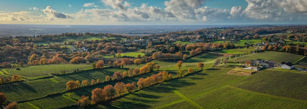 France, Gironde, Tabanac, Aerial view of the vineyard and wooded areas of Chateau le Pic in the Bordeaux vineyards at sunset. High quality photo