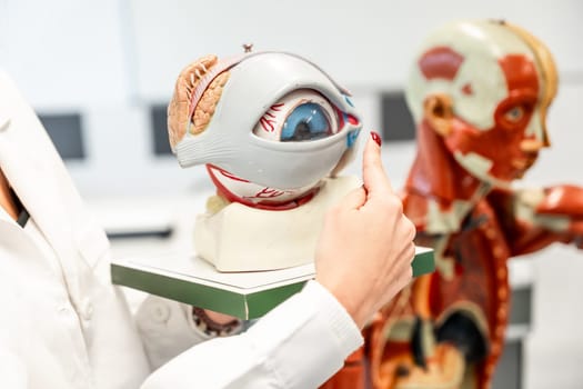 Doctor or medical student pointing at anatomical model of a human eye during a lesson in a medical university or research institute